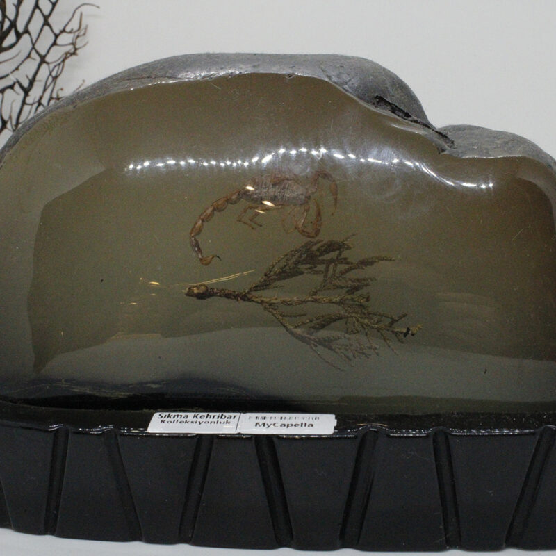 Sıkma Kehribar 60KTL03 Galeri 5