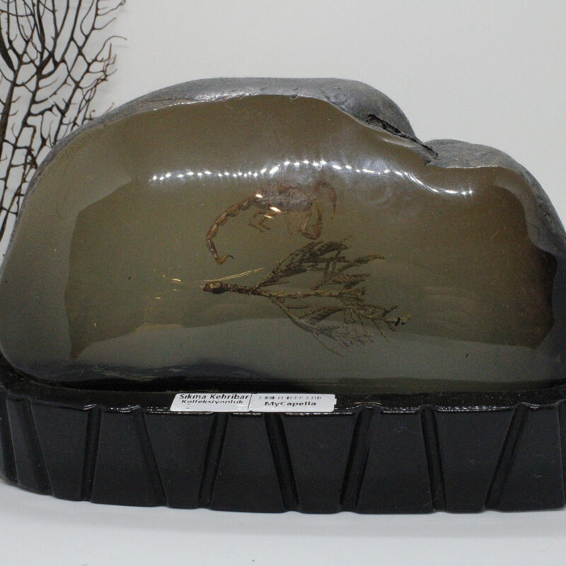 Sıkma Kehribar 60KTL03 Galeri 6